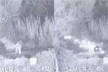 7 terrorists, backed by Pak rangers, shot dead trying to infiltrate in Jammu